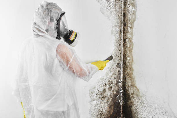 Water damage restoration mold remediation in Bohners Lake, WI